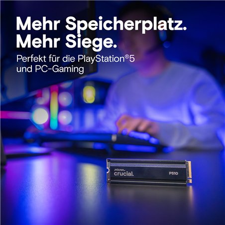 Crucial P510 Gen5 2280       1TB NVMe PCIe M.2 SSD c. diss.calore