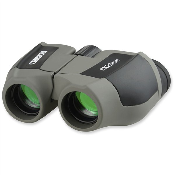 Carson Scout       8x22