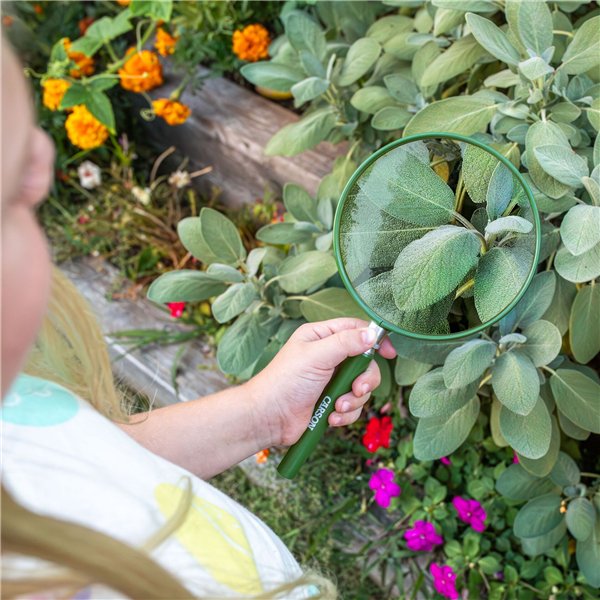 Carson HU-20 lente 5  Big Eye