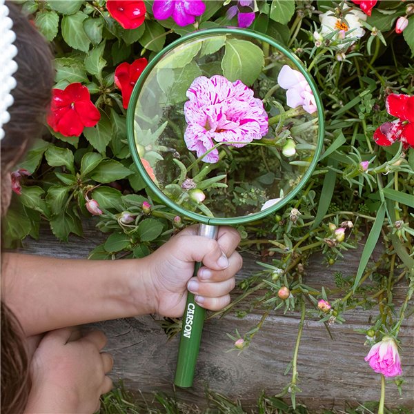 Carson HU-20 lente 5  Big Eye