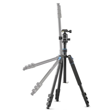 Cullmann Rondo 460M RB8.5