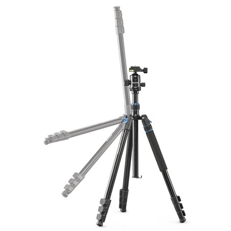 Cullmann Rondo 480M RB8.5