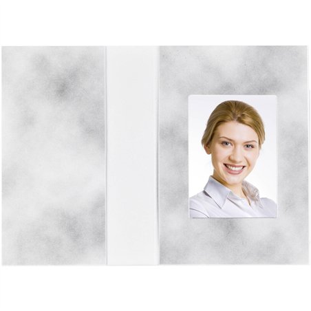 1x100 Daiber cartelline portaf. grigio 3,6x5cmm