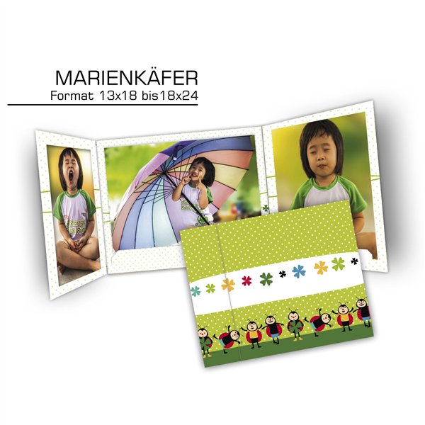 1x25 Daiber  Coccinella  13x18cm cartelline portafoto bamb. 13308