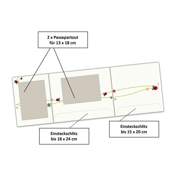 1x25 Daiber  Coccinella  13x18cm cartelline portafoto bamb. 13308