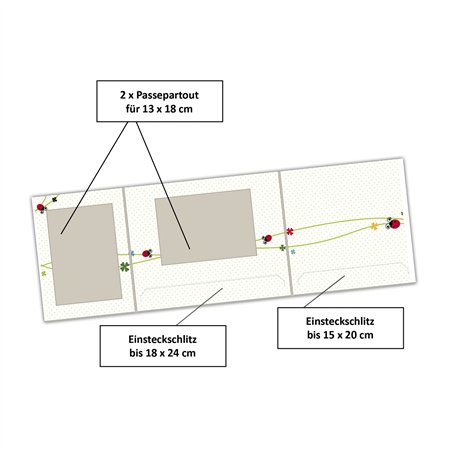 1x25 Daiber  Coccinella  13x18cm cartelline portafoto bamb. 13308