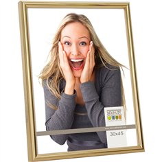 Deknudt S011A4             30x45 plastica oro