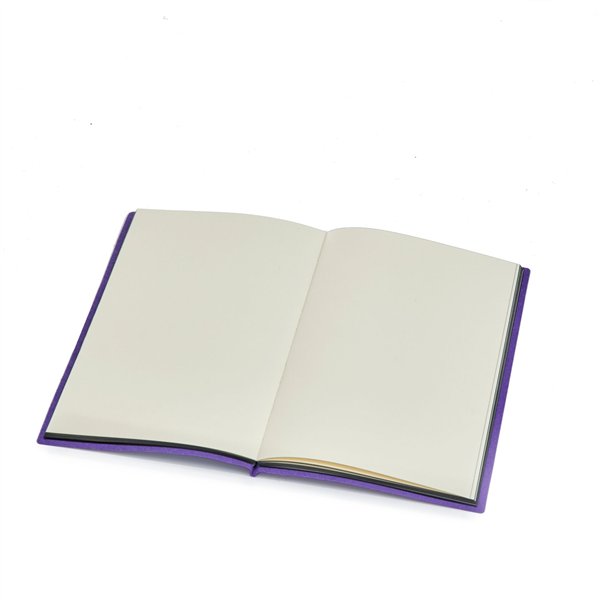 Dickie Diario di Mercoledì con penna magica 209452008