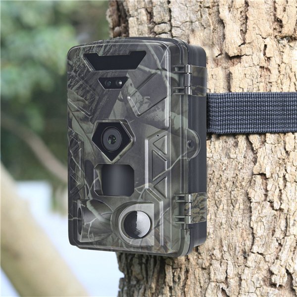 Denver WCT-8016 Wildlife camera