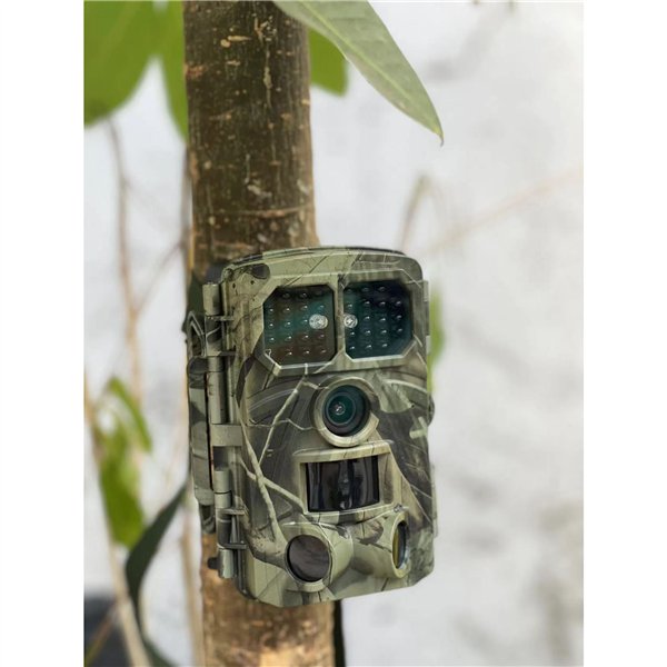 Denver WCT-8026W Wildlife camera