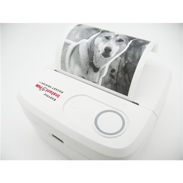 Easypix InstantFUN P1 Pocket Printer