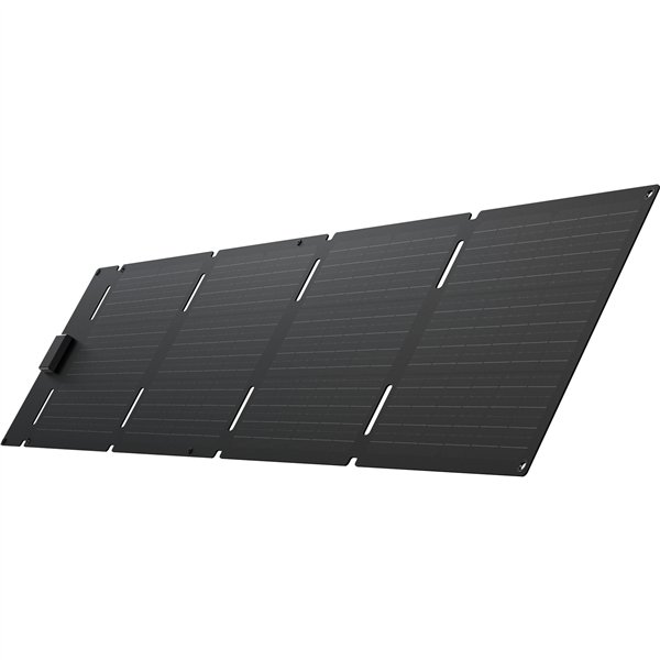 EcoFlow 60W - pannello solare tipo C