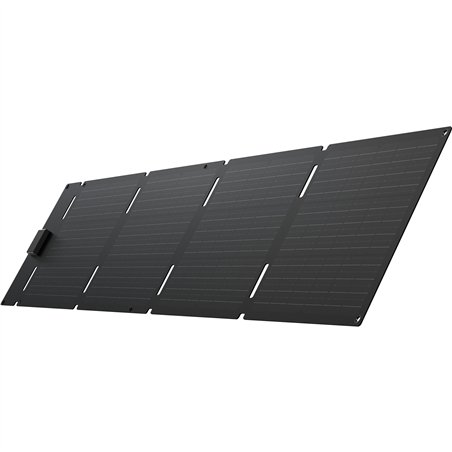 EcoFlow 60W - pannello solare tipo C