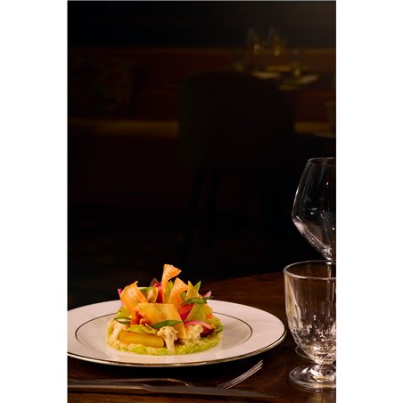 Elinchrom LED 100 C Set