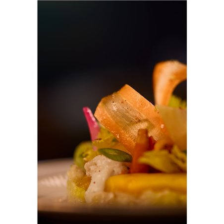 Elinchrom LED 100 C Dual Set