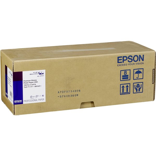 Epson Premium lucido Photo carta 40,6 cm x 30,5 m 260 g  S 041742