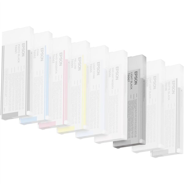 Epson cartuccia light nero T 606 220 ml T 6067