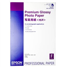 Epson Premium Glossy Photo Paper A 2, 25 fogli, 255 g    S 042091