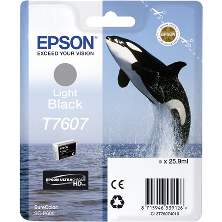 Epson cartuccia light nero T 7607