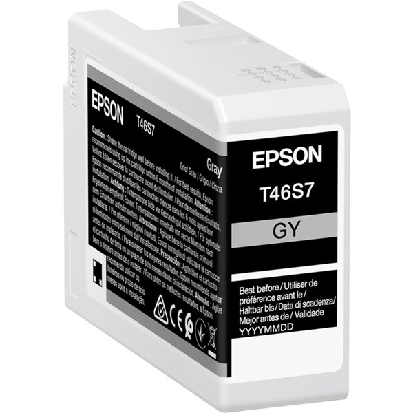Epson cartuccia grigio T 46S7 25 ml Ultrachrome Pro 10
