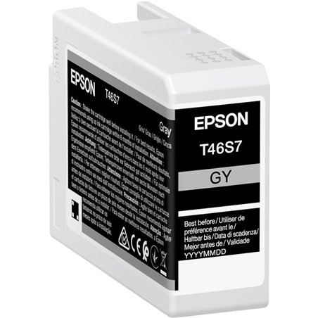 Epson cartuccia grigio T 46S7 25 ml Ultrachrome Pro 10