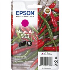 Epson cartuccia magenta 503                       T 09Q3