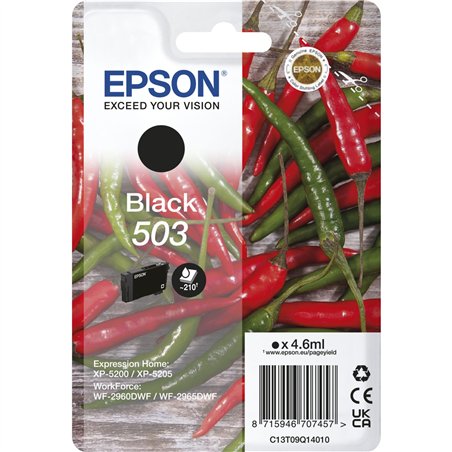 Epson cartuccia nero 503                       T 09Q1