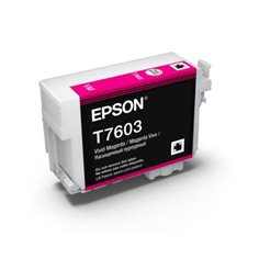 Epson cartuccia vivid magenta T 7603 N