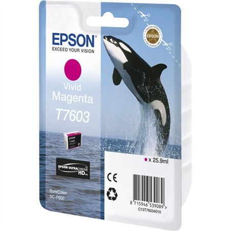 Epson cartuccia vivid magenta T 7603 N