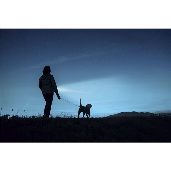 Ansmann LED torcia elettr. Daily Use 300B incl.2xBaby C 1600-0430