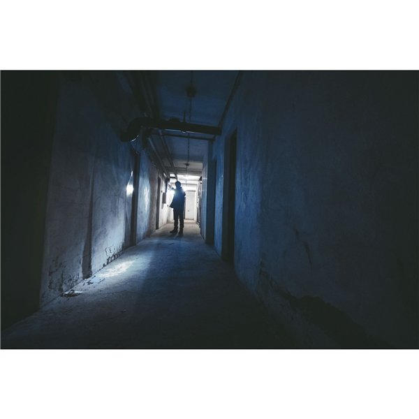 Ansmann LED torcia elettr. Daily Use 300B incl.2xBaby C 1600-0430