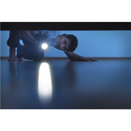 Ansmann LED torcia elettr. Daily Use 300B incl.2xBaby C 1600-0430