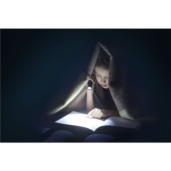 Ansmann LED torcia elettr. Daily Use 300B incl.2xBaby C 1600-0430