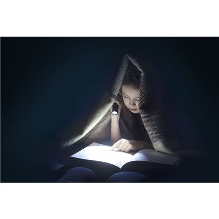 Ansmann LED torcia elettr. Daily Use 300B incl.2xBaby C 1600-0430