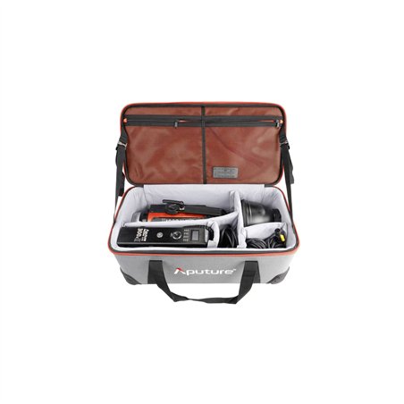 Aputure LS C300D MKII V-mount