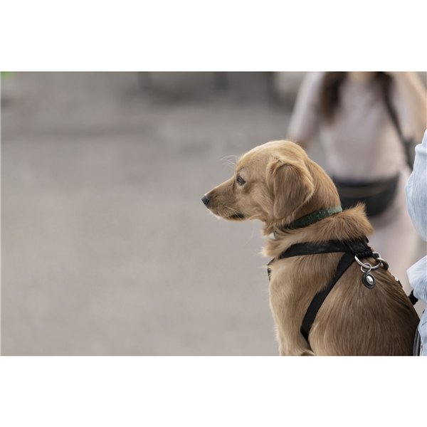 Belkin Secure Holder portachiavi resistente acqua nero MSC013btBK