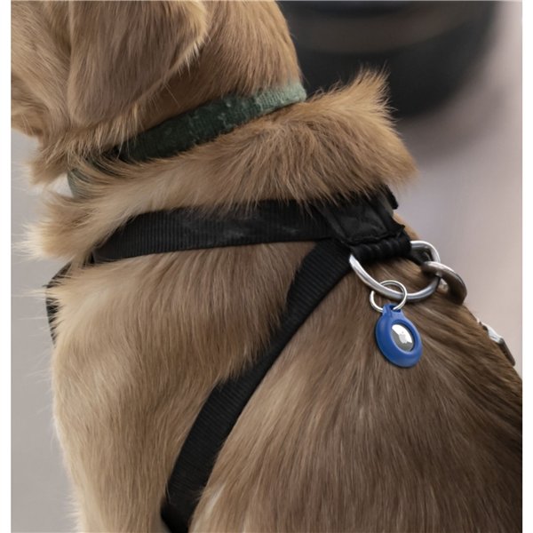 Belkin Secure Holder portachiavi resistente acqua blu MSC013btBL