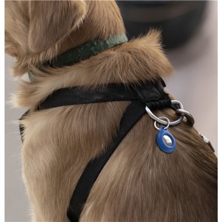 Belkin Secure Holder portachiavi resistente acqua blu MSC013btBL