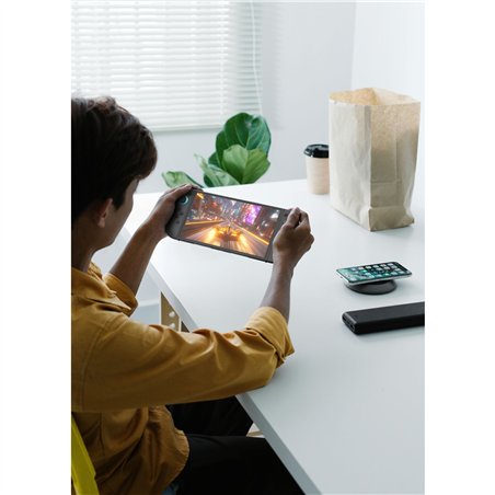 Belkin Charging Case incl.Powerb 10.000mAh Switch 2 ENA001hqCH-V2