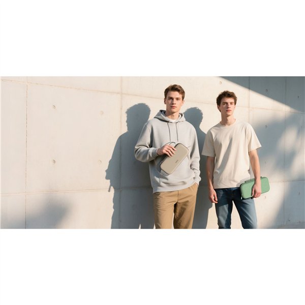 Belkin Travel Case per Nintendo Switch 2 sage         ENA002hqSE