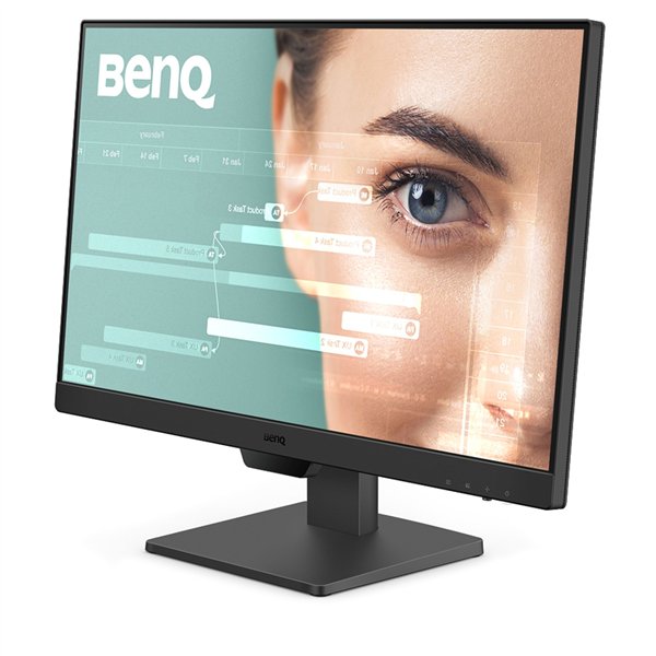 BenQ GW2490