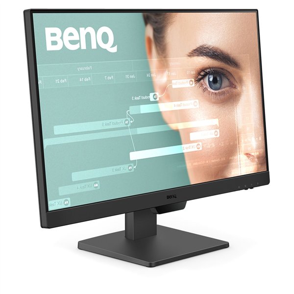 BenQ GW2490
