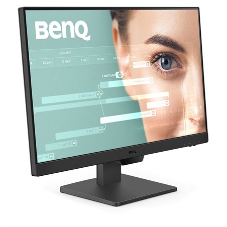 BenQ GW2490