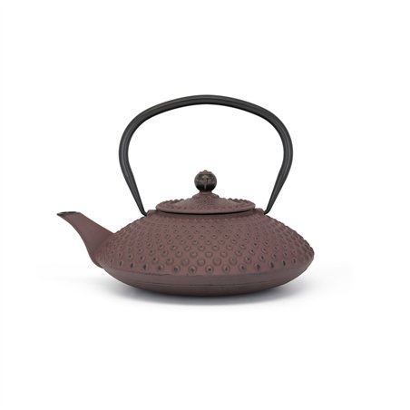 Bredemeijer Teiera Xilin 1,25l ghisa melanzana 153091
