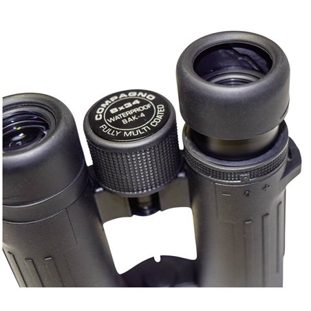 Braun Compagno 8x34 WP