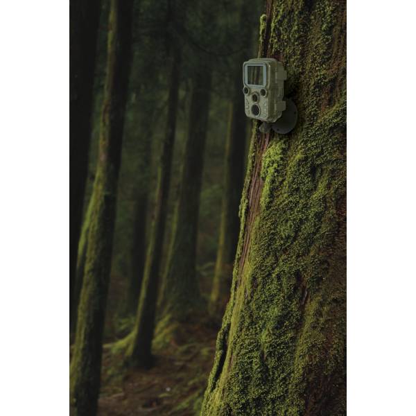 Braun Scouting Cam Black800 mini