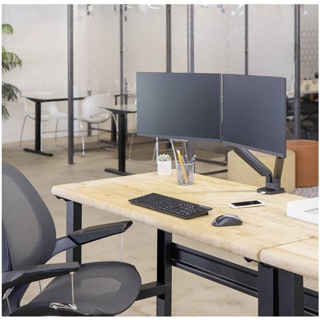 Fellowes Platinum Series supporto monitor doppio braccio