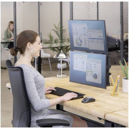 Fellowes Platinum Series braccio monitor doppio verticale