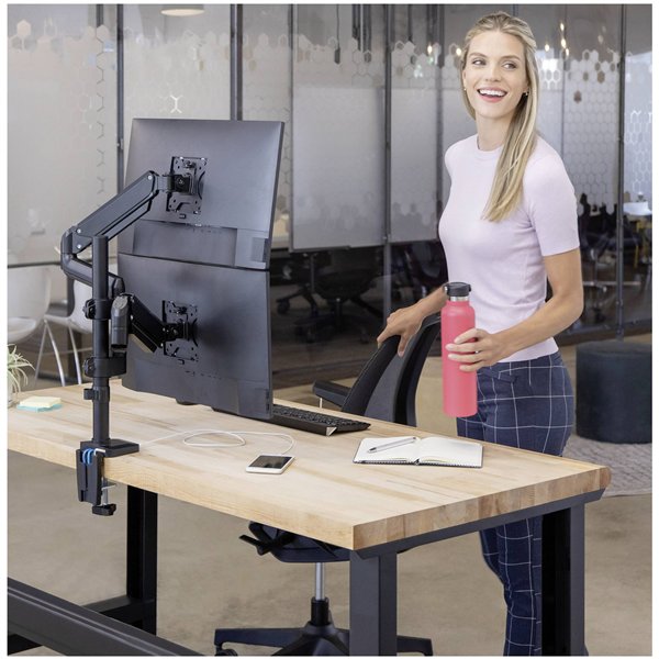 Fellowes Platinum Series braccio monitor doppio verticale