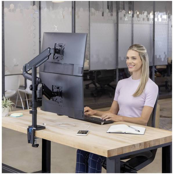 Fellowes Platinum Series braccio monitor doppio verticale